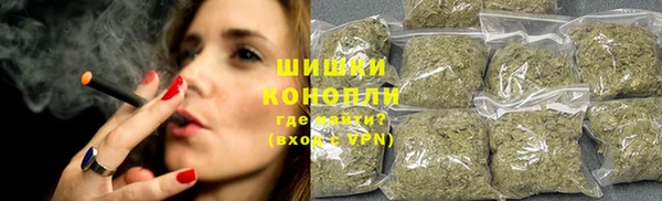 гашик Вязники