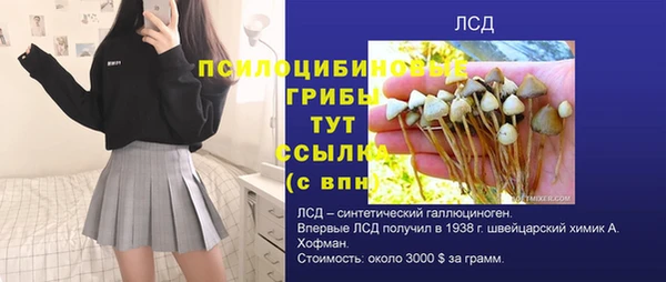 ECSTASY Вяземский