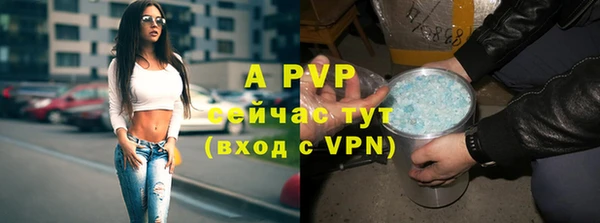 гашик Вязники