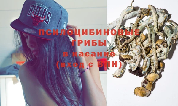 ECSTASY Вяземский