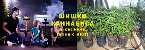 трава Вязьма