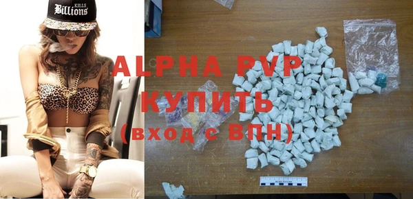 ECSTASY Вяземский