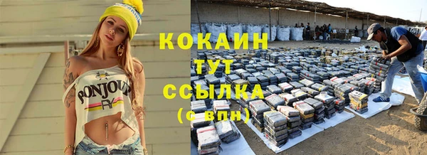 гашик Вязники