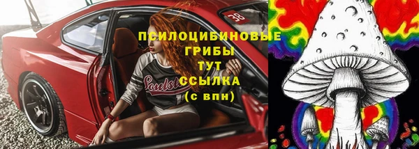 трава Вязьма