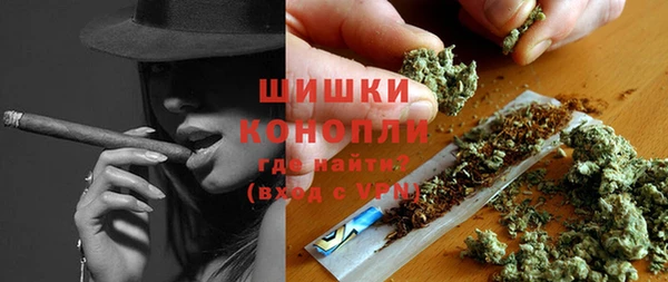трава Вязьма